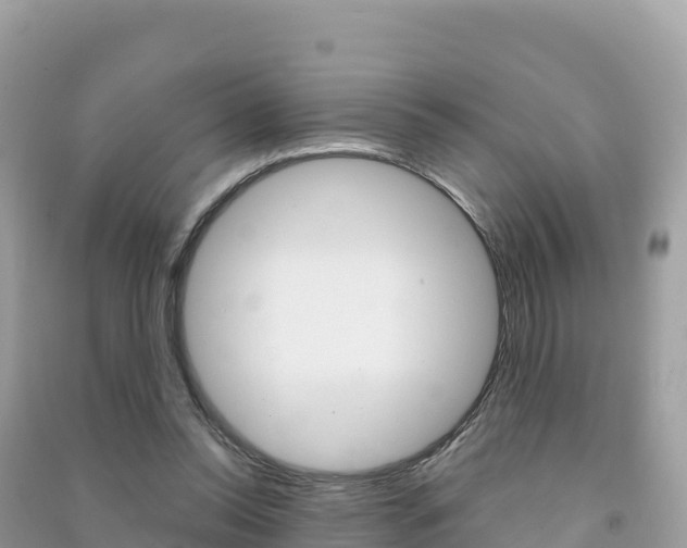 X0000091310350200708101113
