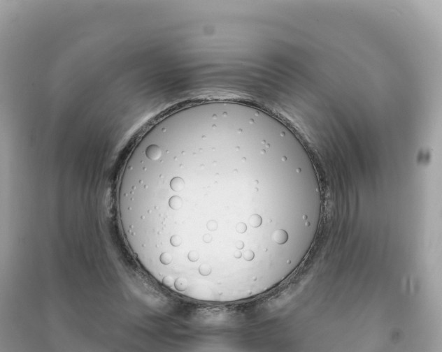X0000091310351200708101113