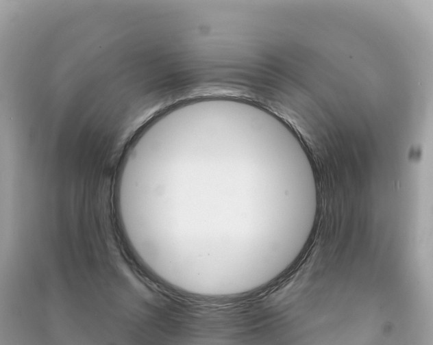 X0000091310352200708101113