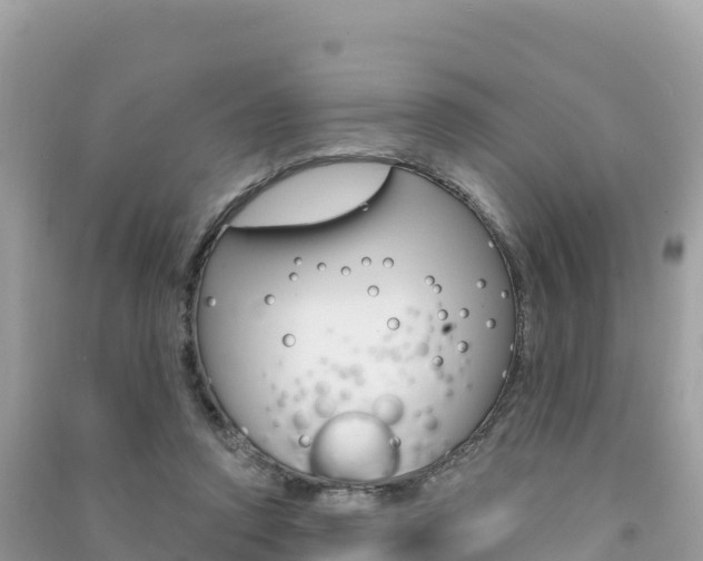 X0000091310354200708101113
