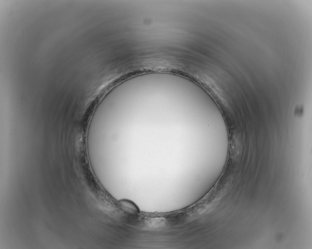 X0000091310355200708101113