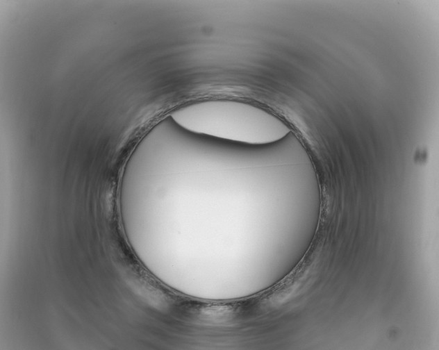 X0000091310357200708101113