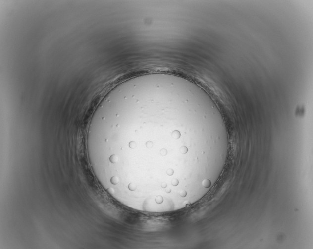 X0000091310359200708101113