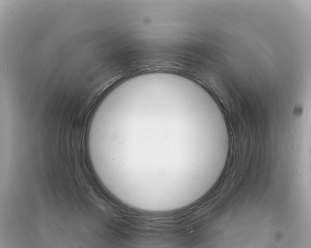 X0000091310360200708101113