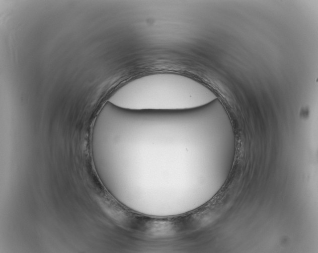 X0000091310361200708101113