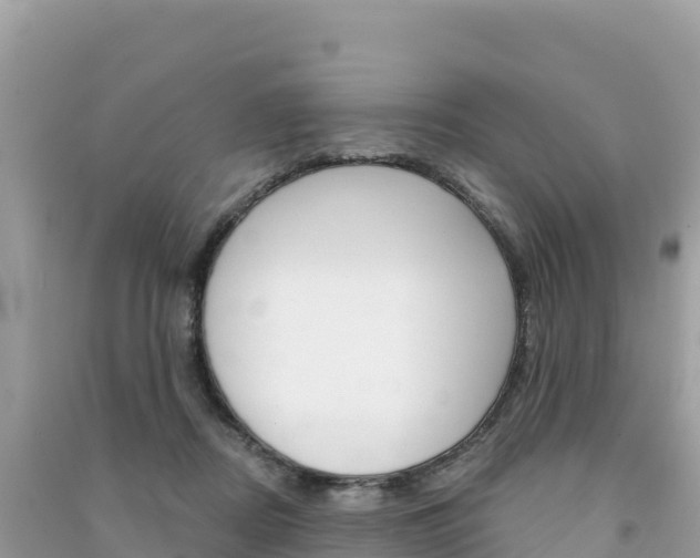 X0000091310362200708101113