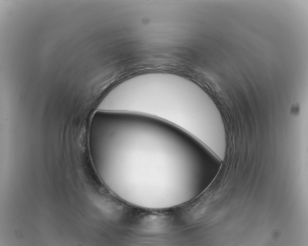 X0000091310364200708101113
