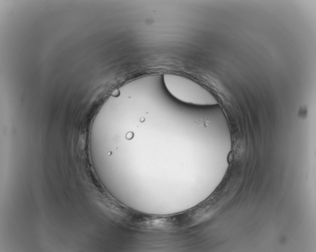 X0000091310365200708101113