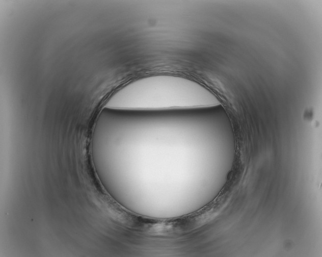 X0000091310366200708101113