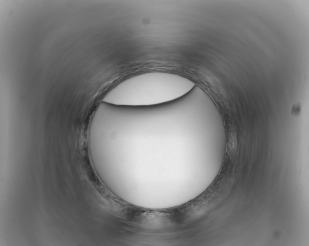 X0000091310367200708101113