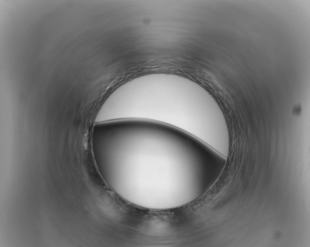 X0000091310368200708101113