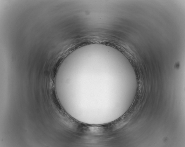 X0000091310371200708101113