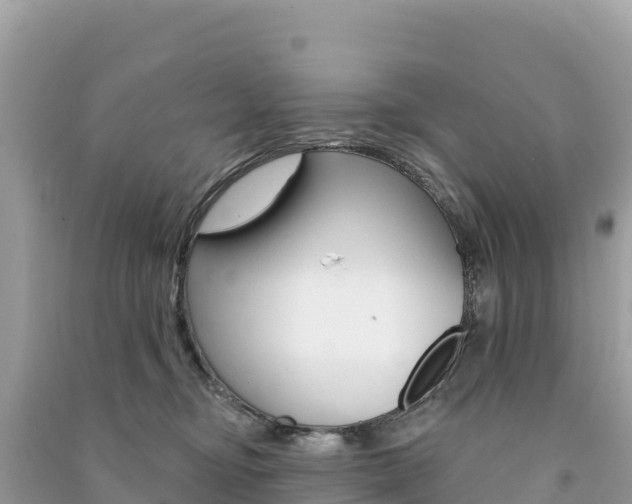 X0000091310374200708101114