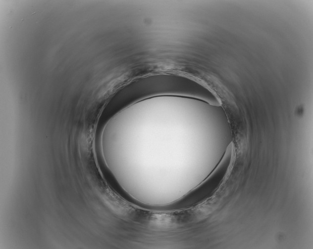 X0000091310376200708101114