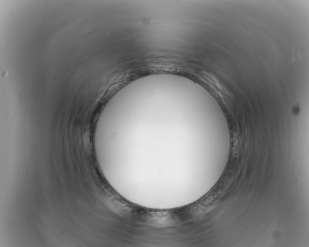 X0000091310377200708101114