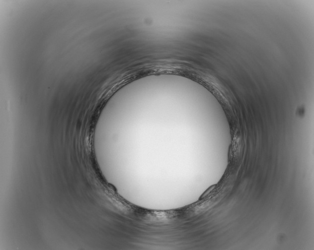 X0000091310381200708101114