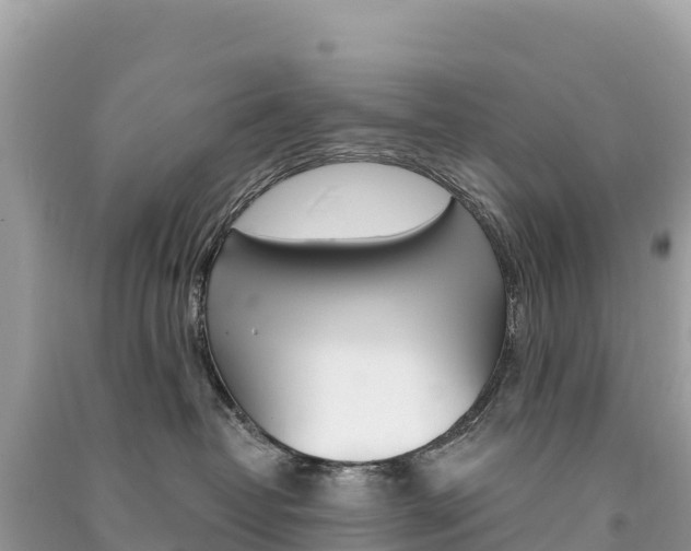 X0000091310382200708101114