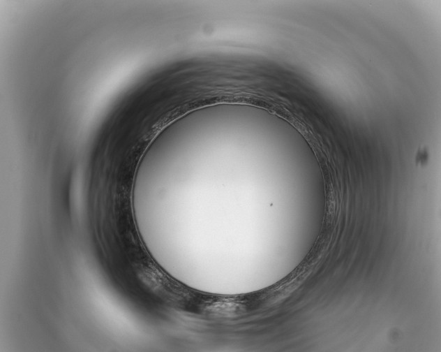 X0000091310383200708101114