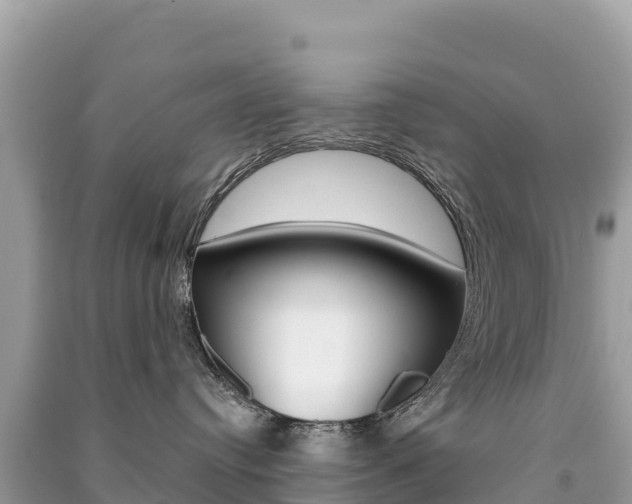 X0000091310384200708101114