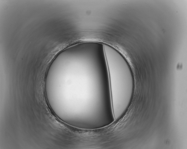 X0000091310385200708101113