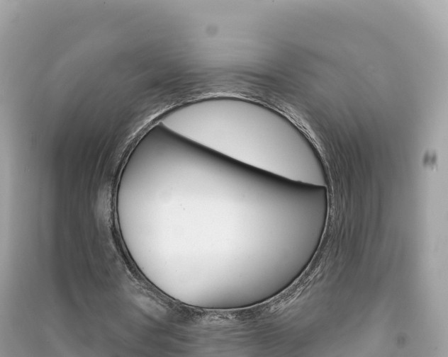 X0000091310386200708101113