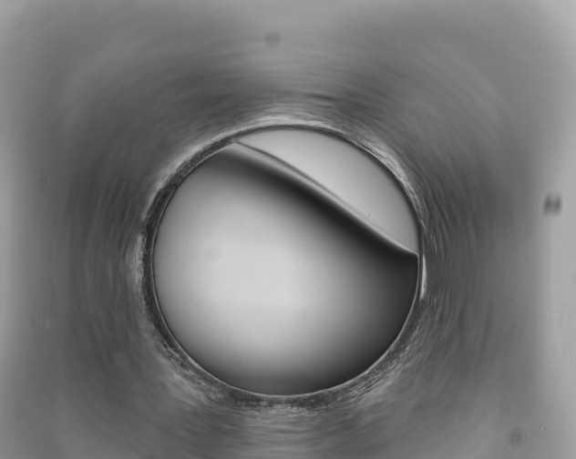 X0000091310387200708101113