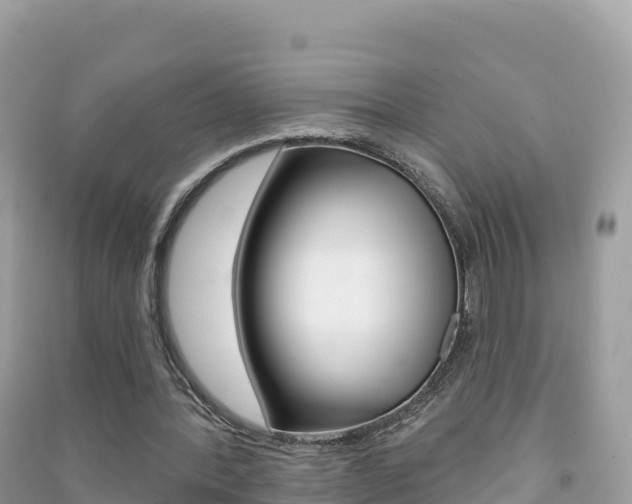X0000091310388200708101113