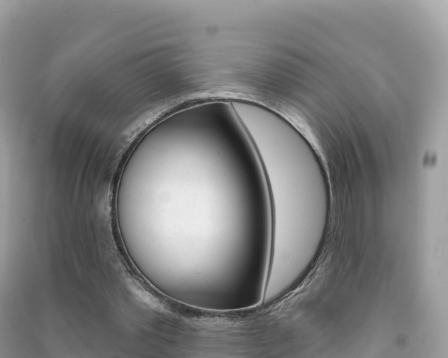 X0000091310389200708101113