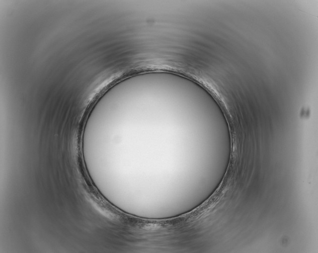 X0000091310390200708101113