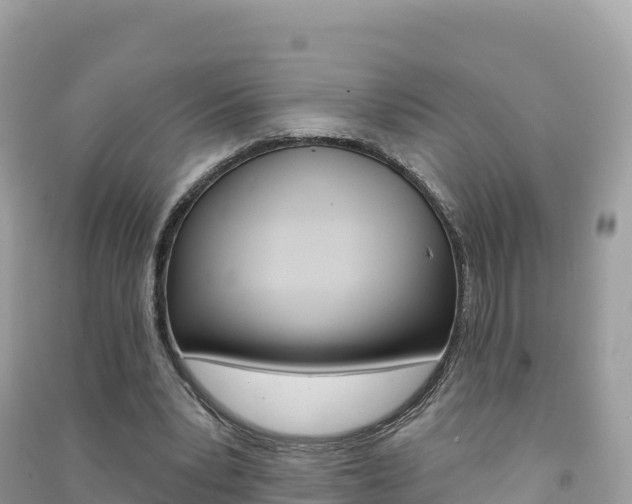 X0000091310391200708101113