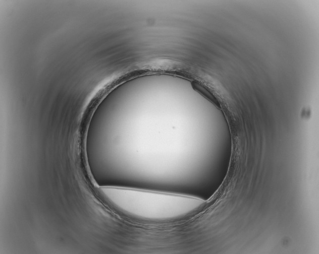 X0000091310392200708101113