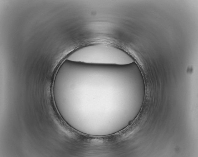 X0000091310394200708101113