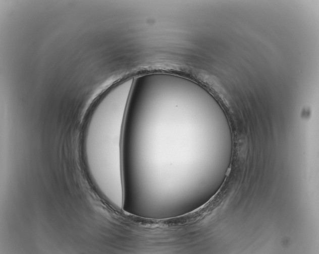X0000091310395200708101113