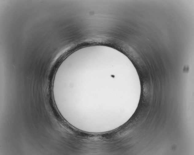 X0000091310396200708101113