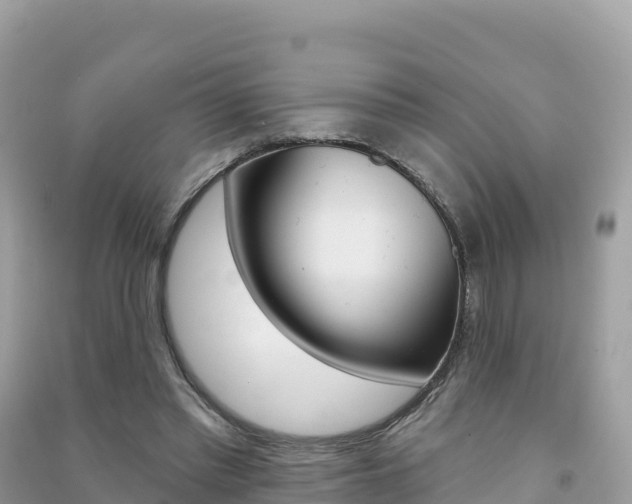 X0000091310397200708101113