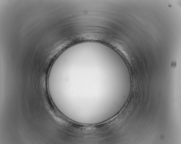X0000091310398200708101113
