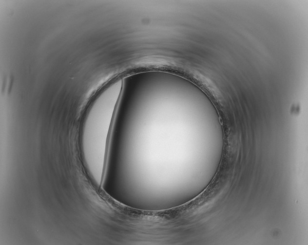 X0000091310399200708101113