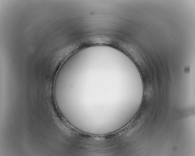 X0000091310402200708101113