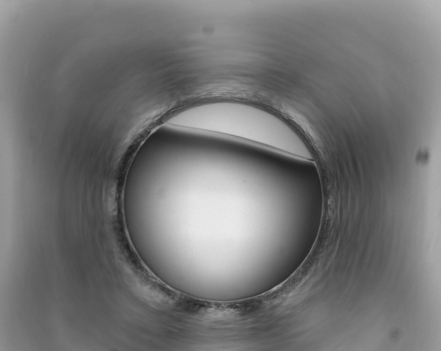 X0000091310403200708101113