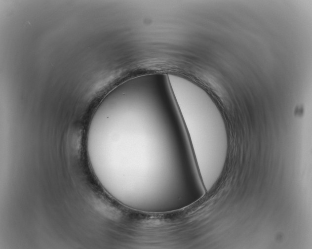X0000091310404200708101113