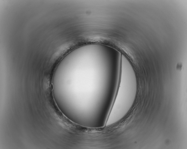 X0000091310407200708101113
