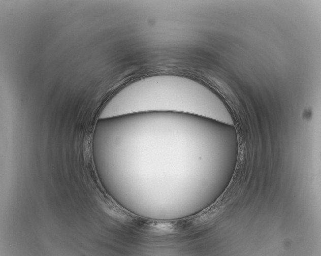 X0000091310409200708101113