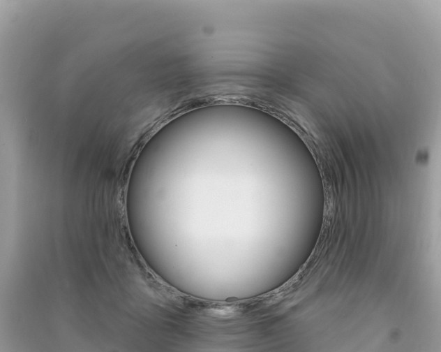 X0000091310411200708101113