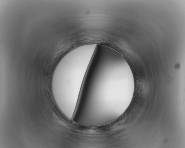 X0000091310412200708101113