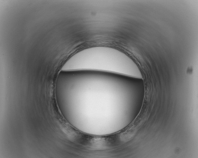 X0000091310413200708101113