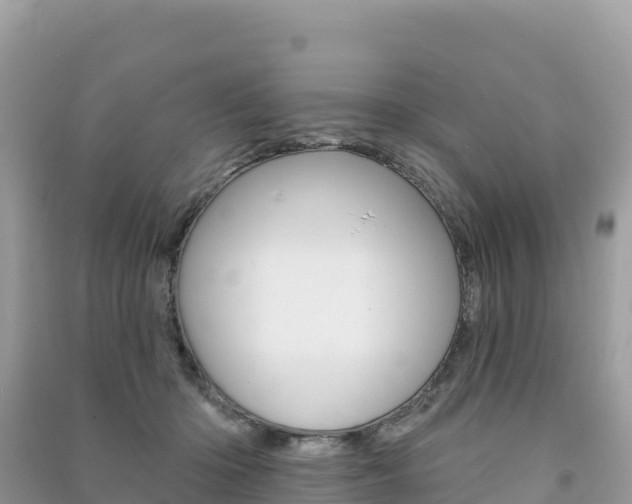 X0000091310414200708101113