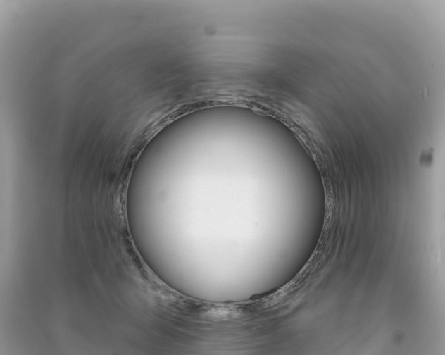 X0000091310415200708101113