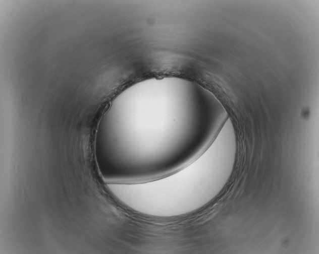 X0000091310416200708101113