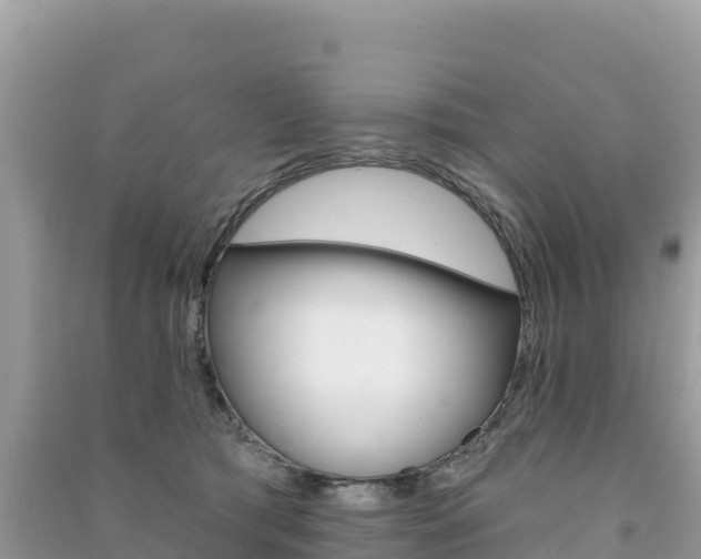 X0000091310417200708101113