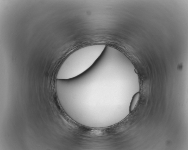 X0000091310418200708101113